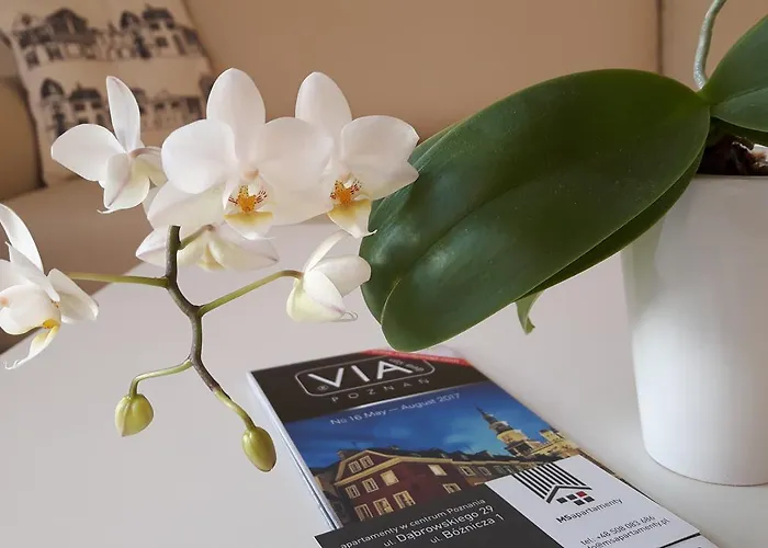 Appartement Msapartamenty Poznań