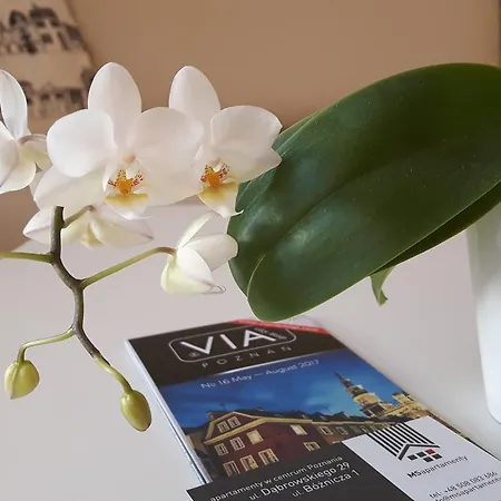 Apartament Msapartamenty Poznań